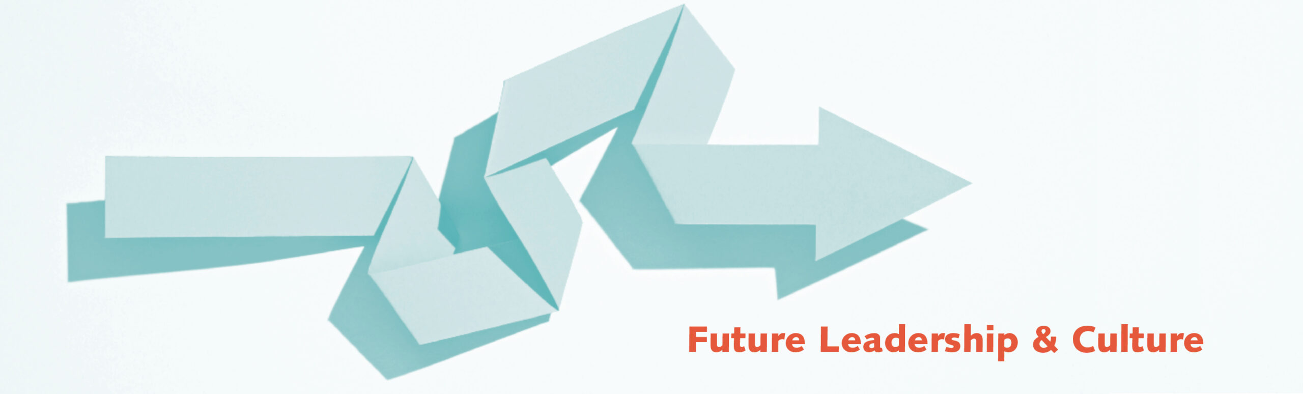 Future Leadership and Culture